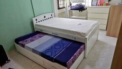 Blk 534 Panshan Grove (Bukit Panjang), HDB 5 Rooms #458735881